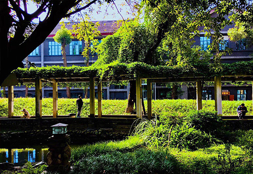 学校环境
