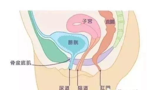 骨盆变形到底有些什么样的危害？